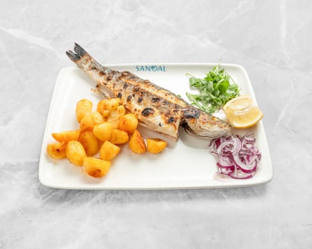 Wolfsbarsch